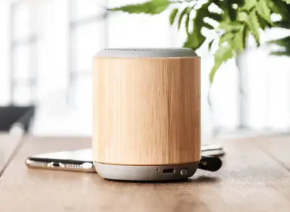 Speaker