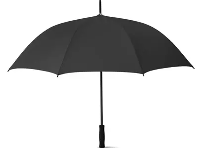 Paraplu